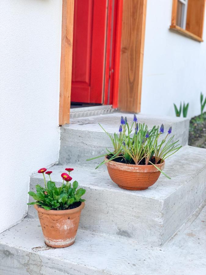 Ferienhaus Feni Neckargemünd Buitenkant foto